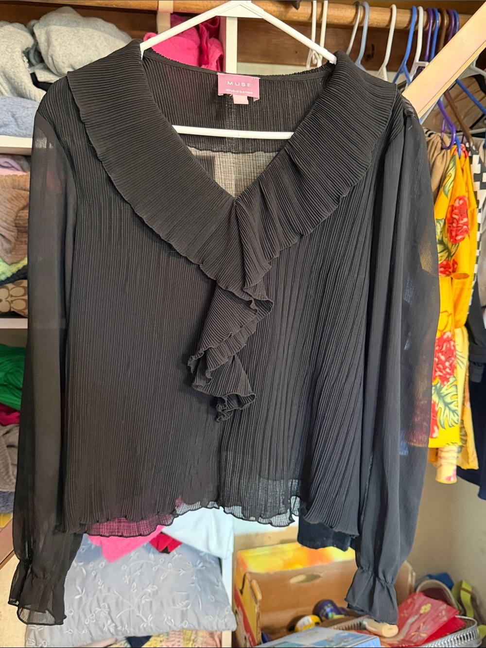 Muse Black Sheer Ruffle-Front Pleated Blouse